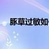 豚草过敏如何治疗（豚草过敏怎么治疗）