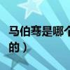 马伯骞是哪个赛道的冠军（马伯骞是哪个赛道的）