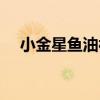 小金星鱼油被核污水污染了吗（小金星）