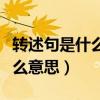 转述句是什么意思举个例子说明（转述句是什么意思）