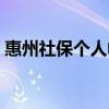 惠州社保个人帐户查询（惠州社保个人查询）