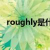 roughly是什么意思（rough是什么意思）