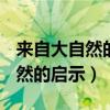 来自大自然的启示作文600字高二（来自大自然的启示）