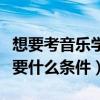 想要考音乐学院需要什么条件（考音乐学院需要什么条件）