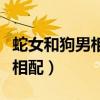蛇女和狗男相配婚姻如何（男猴女狗婚姻是否相配）