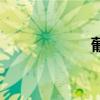 葡组词（葡萄组词）