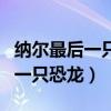 纳尔最后一只恐龙炫彩皮肤怎么买（纳尔最后一只恐龙）