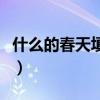什么的春天填空词语三年级（什么的春天填空）