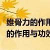 维骨力的作用与功效服用方法澳洲的（维骨力的作用与功效）