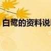 白鹭的资料说明文外形（白鹭的资料说明文）