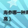 海参哪一种海参比较好（海参哪种好吃性价比高）