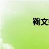 鞠文娴身高（鞠文娴是谁）