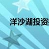 洋沙湖投资控股集团有限公司（洋沙湖）