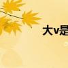 大v是什么?（大v什么意思）