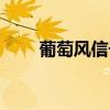 葡萄风信子多久开花（葡萄风信子）