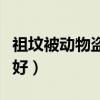 祖坟被动物盗洞怎么办（坟墓被动物盗洞好不好）