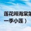 莲花闹海棠第一季全集大结局(莲花闹海棠第一季小莲) 莲花闹海棠第一季全集大结局(莲花闹海棠第一季小莲)