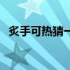 炙手可热猜一个动物（炙手可热打一生肖）