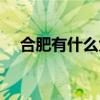 合肥有什么大学本科（合肥有什么大学）