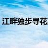 江畔独步寻花其六朗诵（江畔独步寻花其六）
