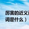 厉害的近义词是什么 标准答案（厉害的近义词是什么）