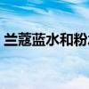 兰蔻蓝水和粉水的区别适用年龄（兰蔻蓝水）