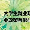 大学生就业政策有哪些方面的问题（大学生就业政策有哪些）