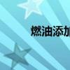 燃油添加剂怎么用（燃油添加剂）