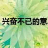 兴奋不已的意思和造句（兴奋不已的近义词）