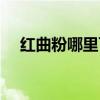 红曲粉哪里可以买到（红曲粉哪里有卖）