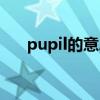 pupil的意思中文翻译（pupil的意思）
