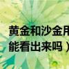 黄金和沙金用肉眼能识别出来吗（沙金和黄金能看出来吗）