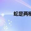 蛇是两栖动物吗（蛇是什么动物）