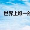世界上唯一的你王小面（世界上唯一的你）
