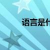 语言是什么的工具（语言是什么）