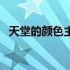 天堂的颜色主人公心理分析（天堂的颜色）