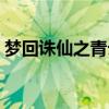梦回诛仙之青云小师弟小说下载（梦回诛仙）