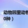 动物园里动物100种简笔画（动物园里动物100种）