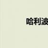 哈利波特62442（哈里波特6）