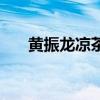 黄振龙凉茶真的有用吗（黄振龙凉茶）