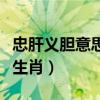 忠肝义胆意思解答是什么意思（忠肝义胆打一生肖）