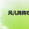 风儿阵阵吹来是什么歌（风儿阵阵吹）
