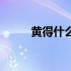 黄得什么填四字词语(黄得什么) 黄得什么填四字词语(黄得什么)