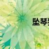 坠琴独奏歌曲16首(坠琴) 坠琴独奏歌曲16首(坠琴)