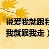 说爱我就跟我走风雨也跟我走是什么歌（说爱我就跟我走）