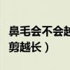鼻毛会不会越剪长的越快越长（鼻毛会不会越剪越长）