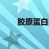 胶原蛋白口服液有用吗（胶原蛋白）