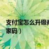 支付宝怎么升级商家码别人扫我是转账（支付宝怎么升级商家码）