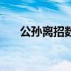 公孙离招数顺序（公孙离召唤师技能）