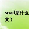 snail是什么意思中文意思(snail什么意思中文) snail是什么意思中文意思(snail什么意思中文)